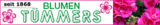Logo Blumen Tümmers