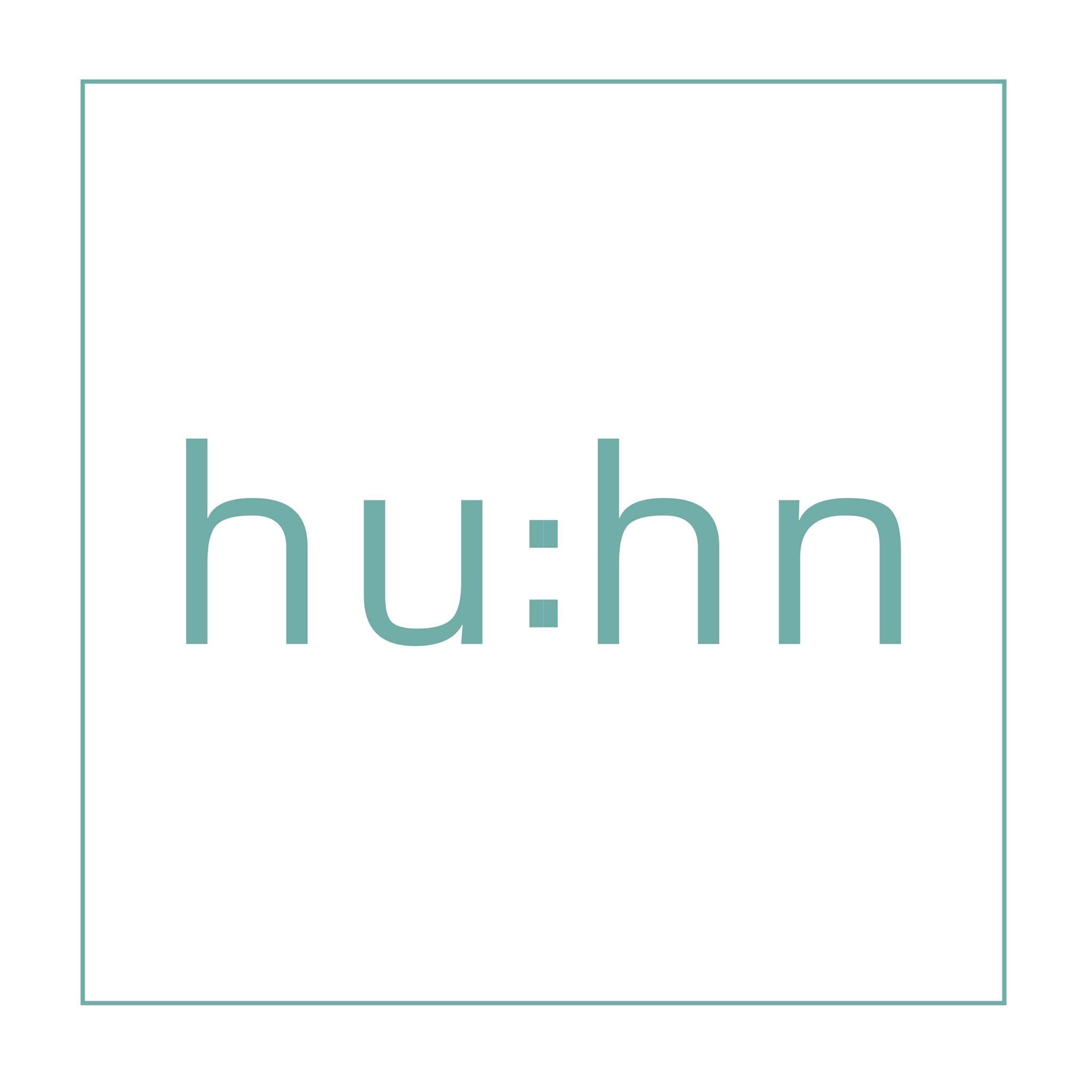 Logo Optik Hühn