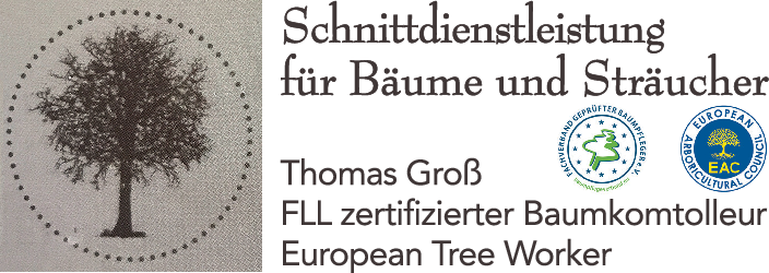 Logo Schnittdienstleistung für Bäume und Sträucher Thomas Groß