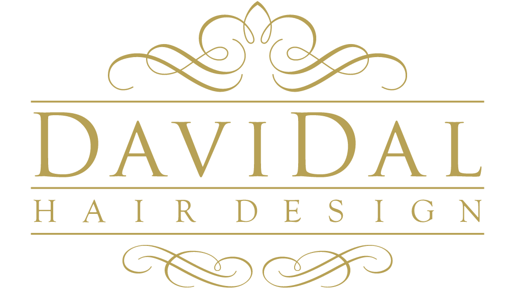 Logo David Nektalov DAVIDAL HAIRDESIGN