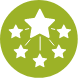 White Stars Connected green Icon